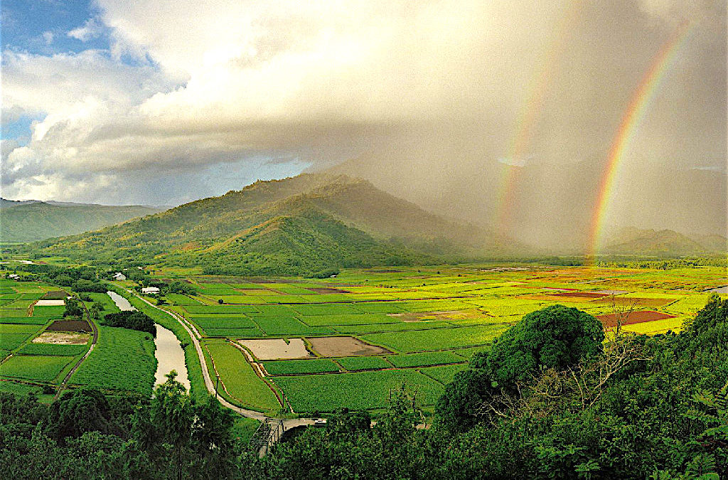 Kauai vacations…local born expert!