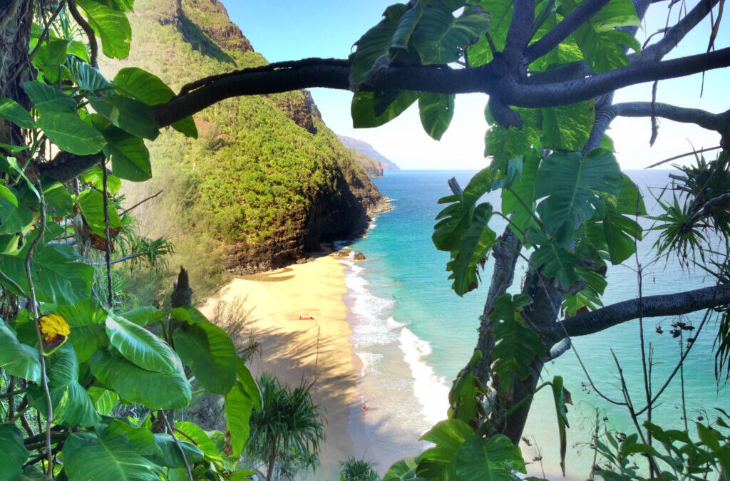 Summer on Kauai 2024!